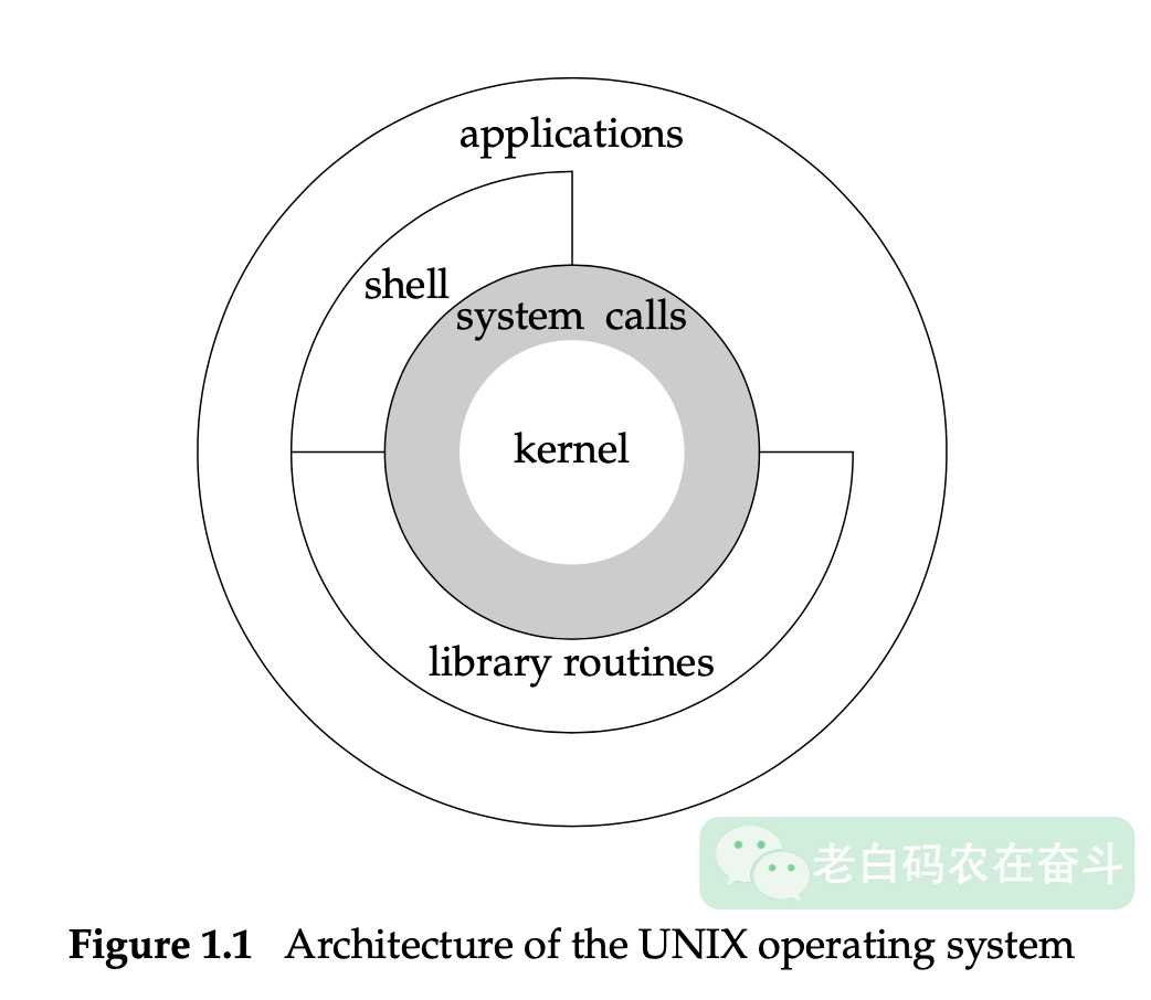 what-is-shell