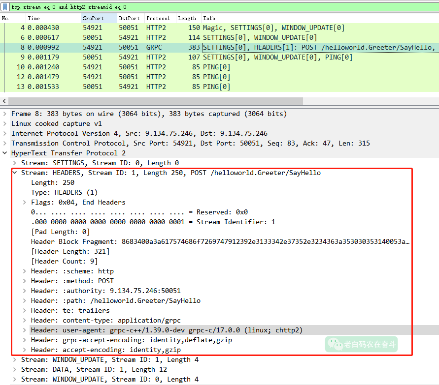 wireshark-request-protocol