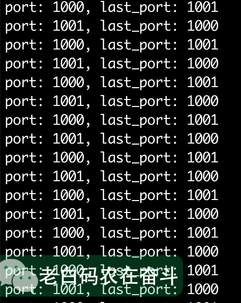 client_print_server_port