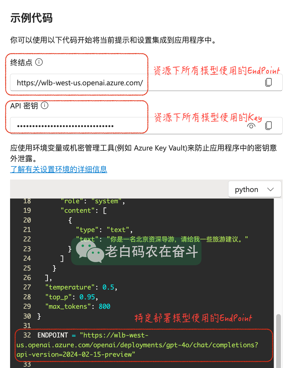 step-9-store-api-key-and-endpoint